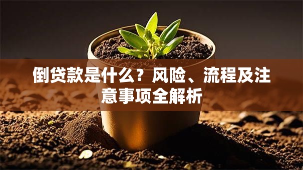 倒贷款是什么？风险、流程及注意事项全解析