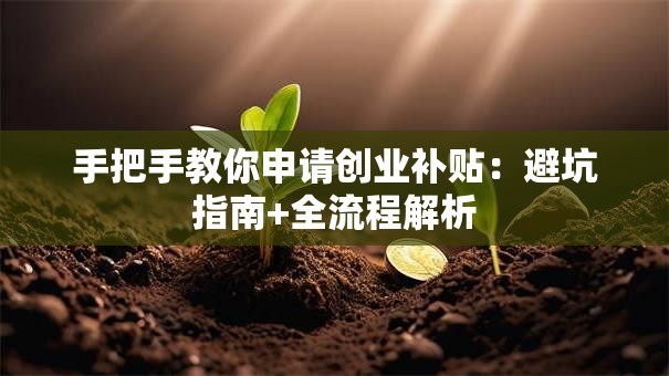 手把手教你申请创业补贴：避坑指南+全流程解析