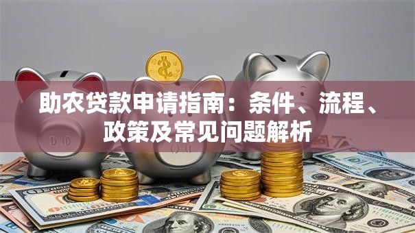 助农贷款申请指南：条件、流程、政策及常见问题解析