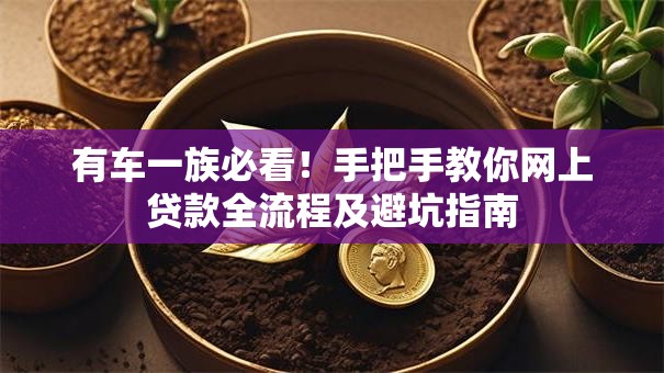 有车一族必看！手把手教你网上贷款全流程及避坑指南
