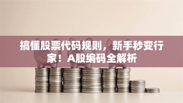 搞懂股票代码规则，新手秒变行家！A股编码全解析