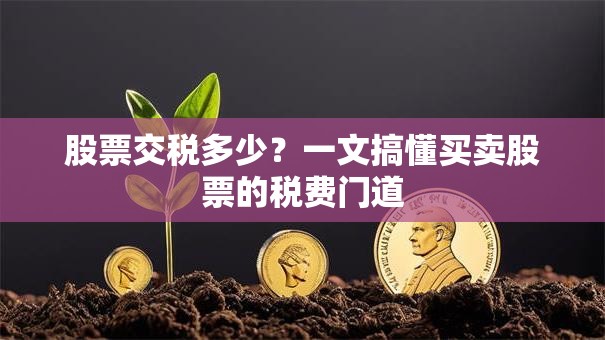 股票交税多少？一文搞懂买卖股票的税费门道