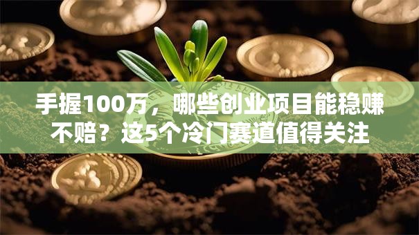 手握100万，哪些创业项目能稳赚不赔？这5个冷门赛道值得关注