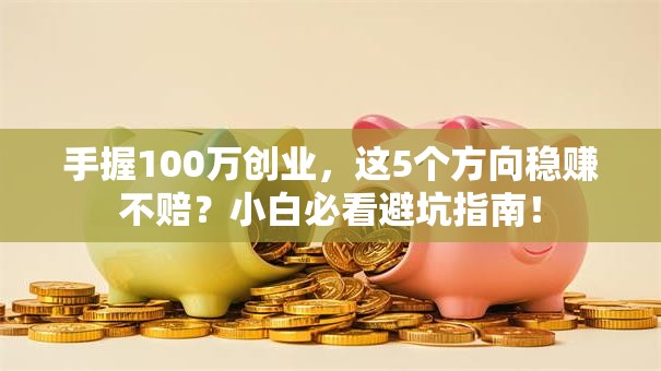 手握100万创业，这5个方向稳赚不赔？小白必看避坑指南！