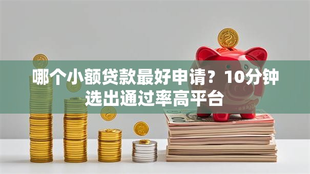 哪个小额贷款最好申请？10分钟选出通过率高平台
