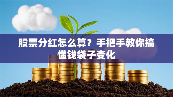 股票分红怎么算？手把手教你搞懂钱袋子变化