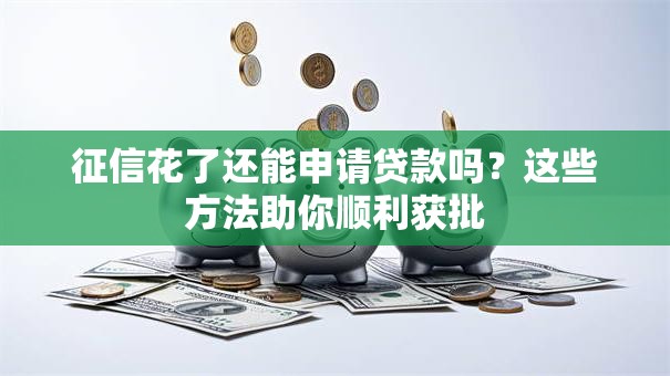 征信花了还能申请贷款吗？这些方法助你顺利获批