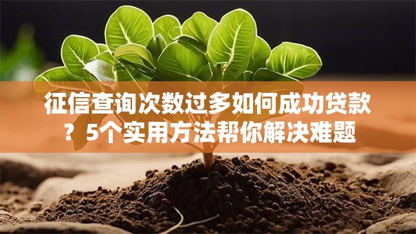 征信查询次数过多如何成功贷款？5个实用方法帮你解决难题