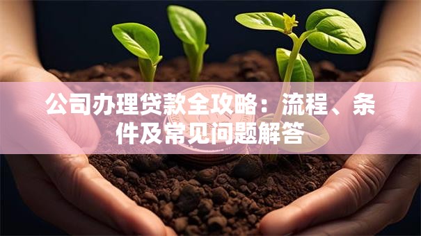 公司办理贷款全攻略：流程、条件及常见问题解答