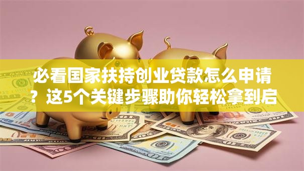 必看国家扶持创业贷款怎么申请？这5个关键步骤助你轻松拿到启动资金