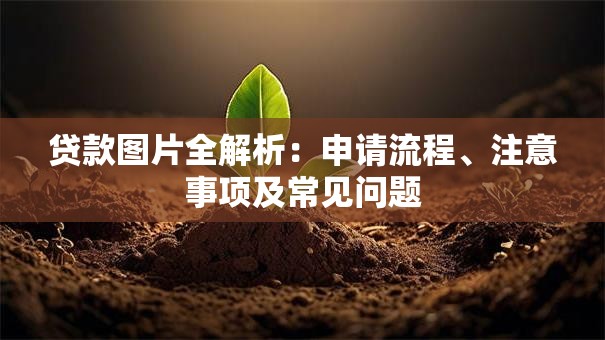贷款图片全解析：申请流程、注意事项及常见问题