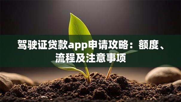 驾驶证贷款app申请攻略：额度、流程及注意事项