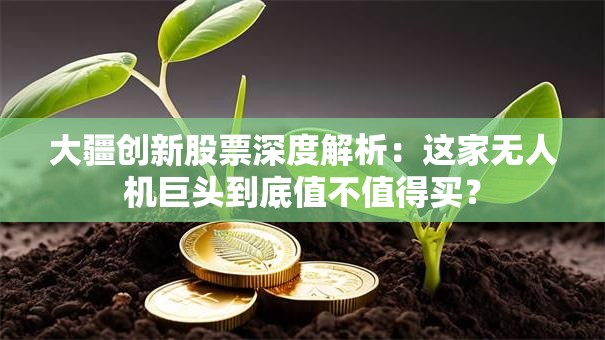 大疆创新股票深度解析：这家无人机巨头到底值不值得买？