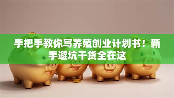 手把手教你写养殖创业计划书！新手避坑干货全在这