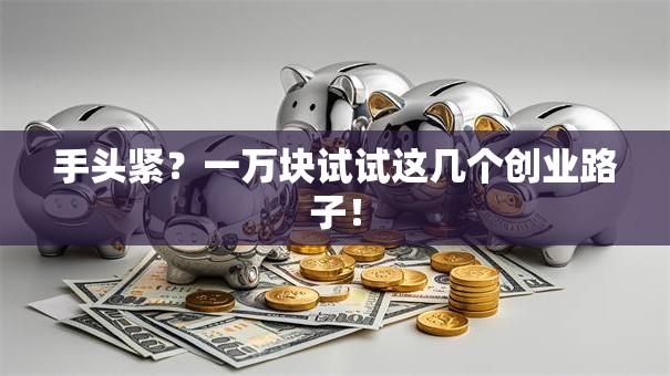 手头紧？一万块试试这几个创业路子！