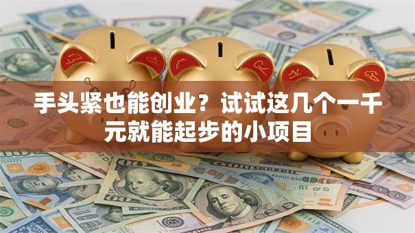 手头紧也能创业？试试这几个一千元就能起步的小项目