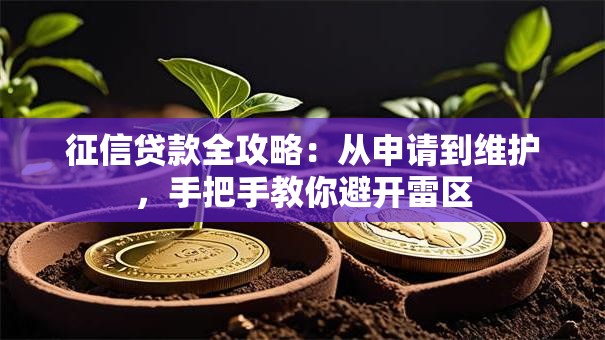 征信贷款全攻略：从申请到维护，手把手教你避开雷区