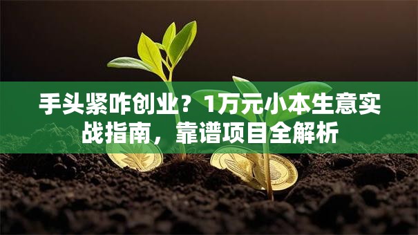 手头紧咋创业？1万元小本生意实战指南，靠谱项目全解析