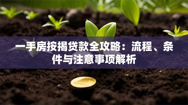 一手房按揭贷款全攻略：流程、条件与注意事项解析