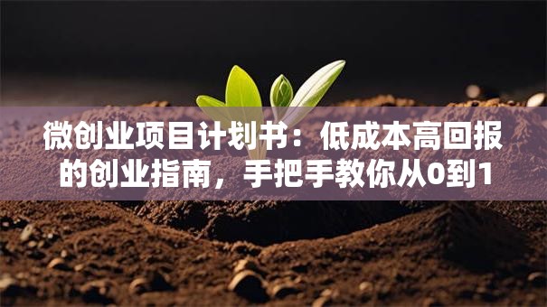 微创业项目计划书：低成本高回报的创业指南，手把手教你从0到1