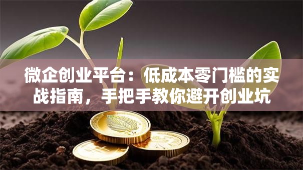 微企创业平台：低成本零门槛的实战指南，手把手教你避开创业坑