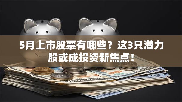 5月上市股票有哪些？这3只潜力股或成投资新焦点！