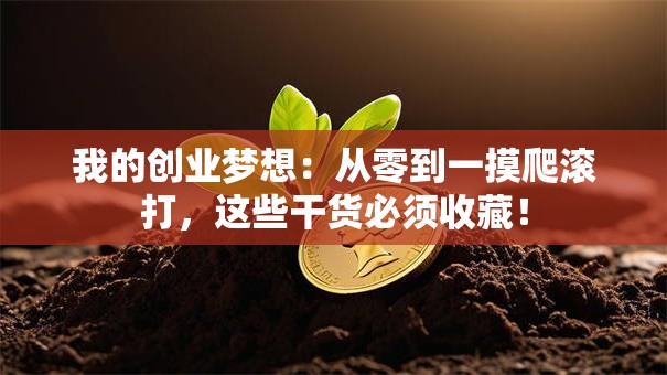 我的创业梦想：从零到一摸爬滚打，这些干货必须收藏！