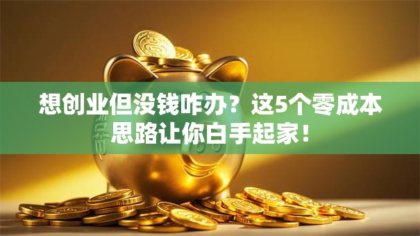 想创业但没钱咋办？这5个零成本思路让你白手起家！