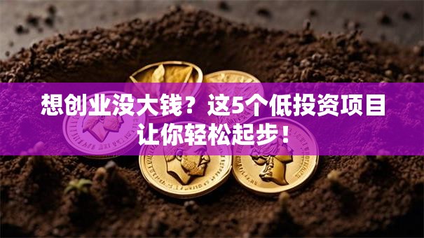 想创业没大钱？这5个低投资项目让你轻松起步！