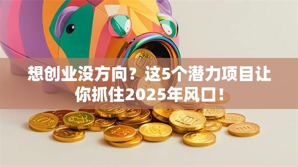 想创业没方向？这5个潜力项目让你抓住2025年风口！