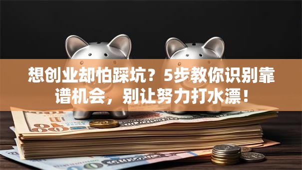 想创业却怕踩坑？5步教你识别靠谱机会，别让努力打水漂！