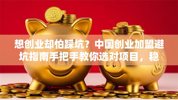 想创业却怕踩坑？中国创业加盟避坑指南手把手教你选对项目，稳赚不赔！