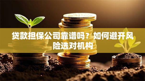贷款担保公司靠谱吗？如何避开风险选对机构