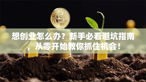 想创业怎么办？新手必看避坑指南，从零开始教你抓住机会！