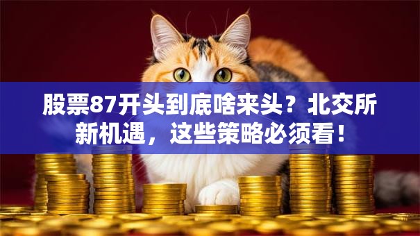 股票87开头到底啥来头？北交所新机遇，这些策略必须看！