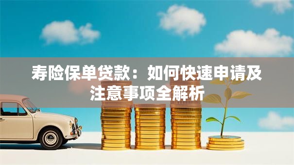 寿险保单贷款：如何快速申请及注意事项全解析