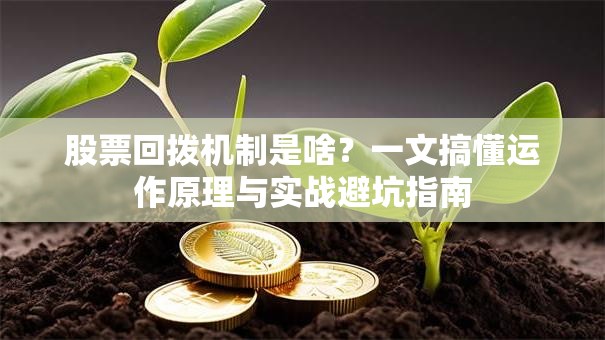 股票回拨机制是啥？一文搞懂运作原理与实战避坑指南