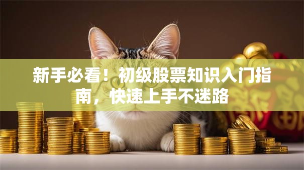 新手必看！初级股票知识入门指南，快速上手不迷路