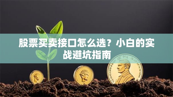股票买卖接口怎么选？小白的实战避坑指南