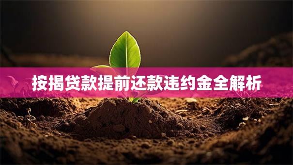 按揭贷款提前还款违约金全解析