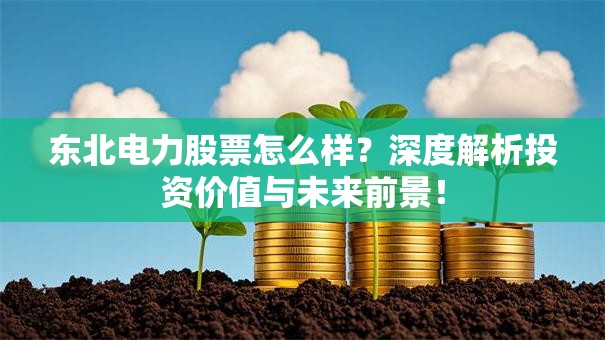 东北电力股票怎么样？深度解析投资价值与未来前景！