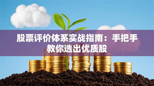 股票评价体系实战指南：手把手教你选出优质股