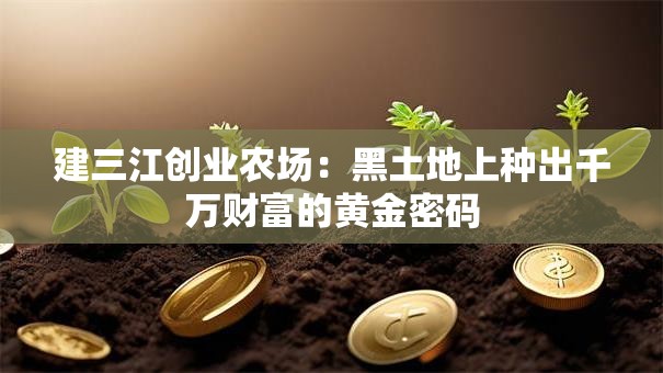 建三江创业农场：黑土地上种出千万财富的黄金密码