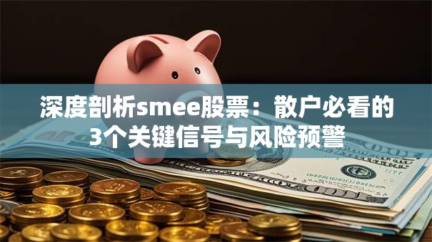 深度剖析smee股票：散户必看的3个关键信号与风险预警