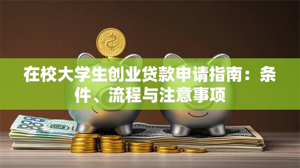 在校大学生创业贷款申请指南：条件、流程与注意事项
