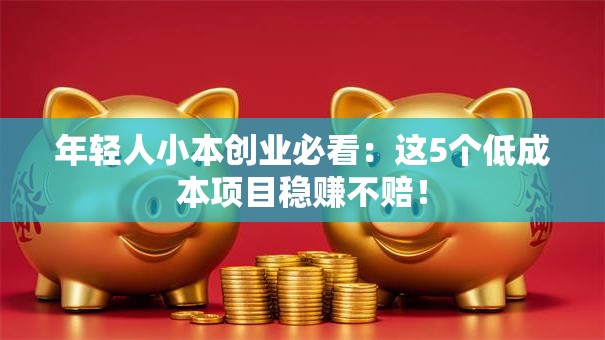 年轻人小本创业必看：这5个低成本项目稳赚不赔！