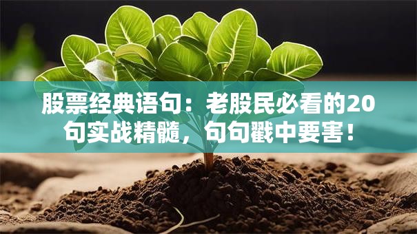 股票经典语句：老股民必看的20句实战精髓，句句戳中要害！