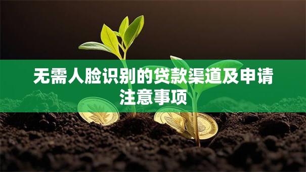 无需人脸识别的贷款渠道及申请注意事项