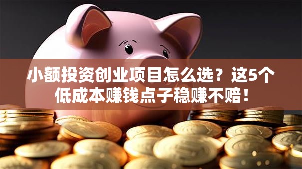 小额投资创业项目怎么选？这5个低成本赚钱点子稳赚不赔！