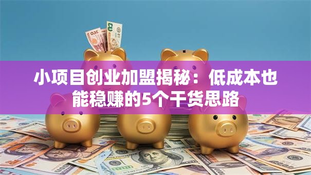 小项目创业加盟揭秘：低成本也能稳赚的5个干货思路